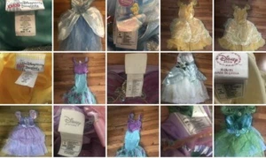 Disney Princess Costume  - Picture 1 of 1