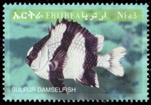 ERITREA 332b - Banded Dascyllus "Dascyllus aruanus" (pb93820) - Picture 1 of 1