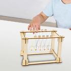 Newton's Cradle DIY Wooden Science Experiment Toy Office Accessories