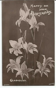 Postal de colección Happy Be Your Birthday Gladiolas Rapid Photo Co. publicada en 1908 - Imagen 1 de 2
