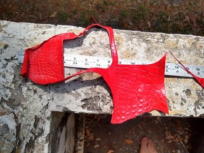 Peça de sucata de couro de jacaré selvagem pescoço de jacaré inserção artesanal MY12 - Imagem 1 de 4