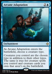 MTG ARCANE ADAPTATION EXC - ADATTAMENTO ARCANO - XLN - MAGIC - Picture 1 of 1