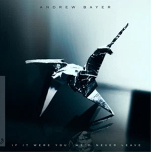 Andrew Bayer If It Were You, We'd Never Leave (CD) Album - Bild 1 von 1