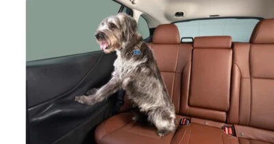 2020-2025 Subaru Outback Pet Rear Door Protector SOA567R000 Genuine Oem Factory - Image 1 of 2