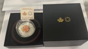 2019 $50 Fine Silver Coin - The Bumble Bee and The Bloom B2019 - Picture 1 of 3