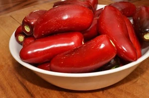 CHILI PEPPER HOT JALAPENO RED – 50 SEEDS  ORGANIC / NON GMO - Picture 1 of 2