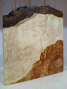 XXL MIND BLOWING CURLY Birdseye Burl wood Blank EPOXY Wood Curly Turning Wood - Picture 1 of 6