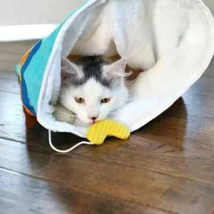 NEW Quirky Kitty Cheesy Puffs Crinkle Play Sack Cat toy Kitten T39 - Picture 1 of 4