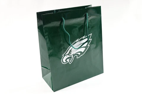 NFL Philadelphia Eagles Gift Bag, Elegant Green Cover