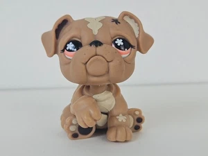 Hasbro Littlest Pet Shop #607 Bulldog Dog LPS - Photo 1/5