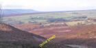 Photo 12X8 Tod Hill Above Bilsdale Roppa Wood Heather Moorland At The Base C2012