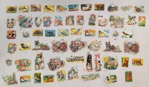 Lote 60 Cromos Troquelados Palma Antiguos De Animales España - Imagen 1 de 3