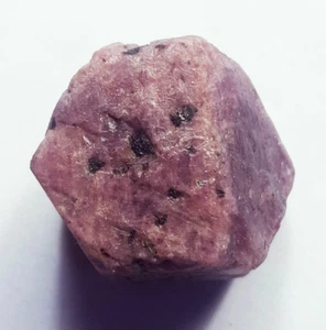 Unheated Natural Ruby Corundum Rough 260.60 Ct Loose Gemstone With Free Gift - Picture 1 of 4