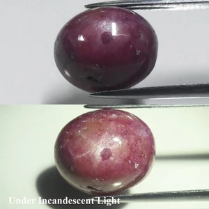 💎 6.55ct Oval Purplish Red 6 Ray Star Ruby - Heated Glass Filling Africa Gem - Picture 1 of 6