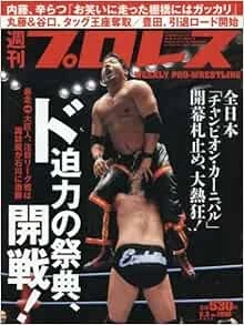 WEEKLY PRO-WRESTLING 2017 May 03 Japan Book Magazine Japanese book form JP - Image 1 of 1
