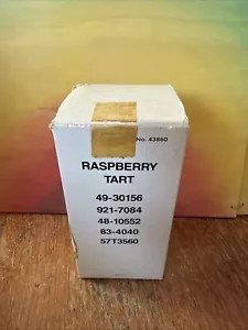 Strawberry Shortcake Vintage Raspberry Tart NIB With Mailer RARE - Picture 1 of 6