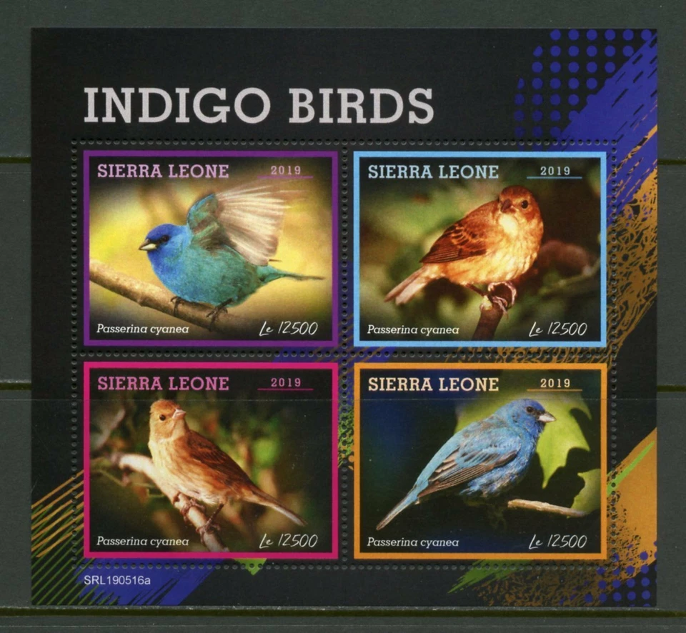 SIERRA  LEONE  2019  INDIGO BIRDS SHEET  MINT NEVER HINGED - Image 1 of 1