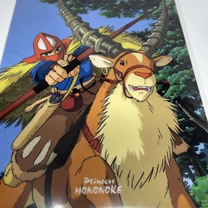 Studio Ghibli Princess Mononoke Clear File Folder famous scene series A4#B - Picture 1 of 6