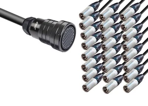 DG Systems - Spider 24 canali LK85 F / 24 XLR M Neutrik - Made in Italy - Picture 1 of 3