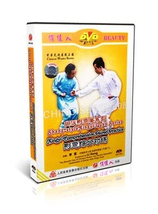 Shang Style Xingyi Quan Series  Xingyi Comprehensive Paired Practice Li Hong DVD - Imagen 1 de 1