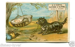 Vintage Trade Card CH CURTIS CLOTHIER & HATTER Springfield DOG ROCKING CRADLE - Picture 1 of 2