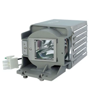 BL-FU190C / PQ484-2401 Lamp for OPTOMA DX343 - Afbeelding 1 van 1