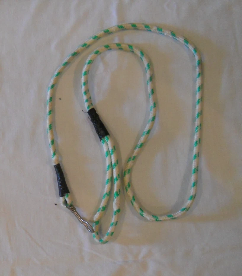 Correa para perro ~ 5 pies ~ cuerda @ lazo de mano y broche ~ verde Foto 1 de 1