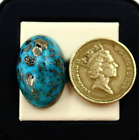 35,5 cts pierre précieuse cabochon ovale turquoise naturelle à haut dôme persan de qualité supérieure