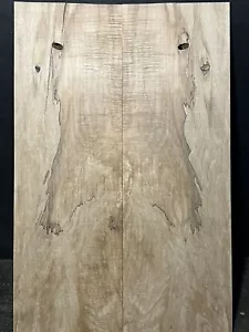 CURLY SPALTED HARD ROCK MAPLE DROP TOP, ECO-FRIENDLY TONEWOOD - Picture 1 of 6