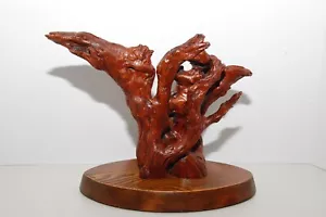 Mounted Westwood Driftwood Art One of Kind - Picture 1 of 5