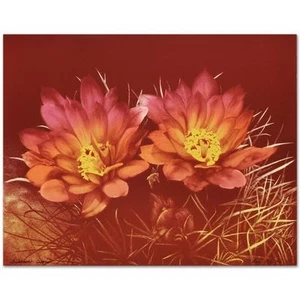 "Fishhook Cactus" Limited Edition Lithograph by Lee Trenton  signed and numbered - Picture 1 of 2