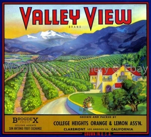 California Fruit Crate Label Fine Art Print, Grove, approx 10.8"x 11.9" 13050 - Picture 1 of 1