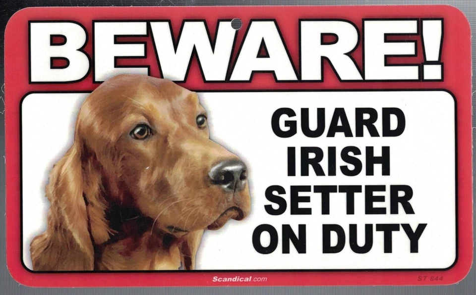 BEWARE GUARD IRISH SETTER DOG ON DUTY 5" X 8" HANGABLE PLASTIC SIGN NEW - Image 1 of 1