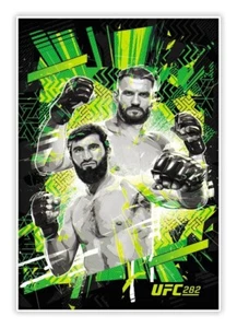 Tarjeta póster Panini UFC 282 2022 - BLACHOWICZ vs ANKALAEV - #AS282 - Se envía ahora - Imagen 1 de 1