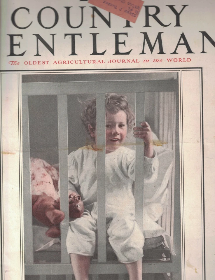 Country Gentleman Magazine November 21 1914 Farming Homesteaders - Image 1 of 1