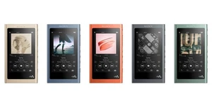 Reproductor de audio digital Sony NW-A55 Walkman música MP3 5 colores inglés funcionando USADO - Imagen 1 de 1