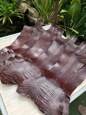 Piel de cuero de pierna de avestruz marrón chocolate hecha a mano piel de avestruz real 2 piezas Foto 1 de 4
