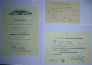 ALEMÁN - 3 certificados de premiación para un hombre. Railway Comp., EK II, heridas y veterinarios. - Imagen 1 de 5