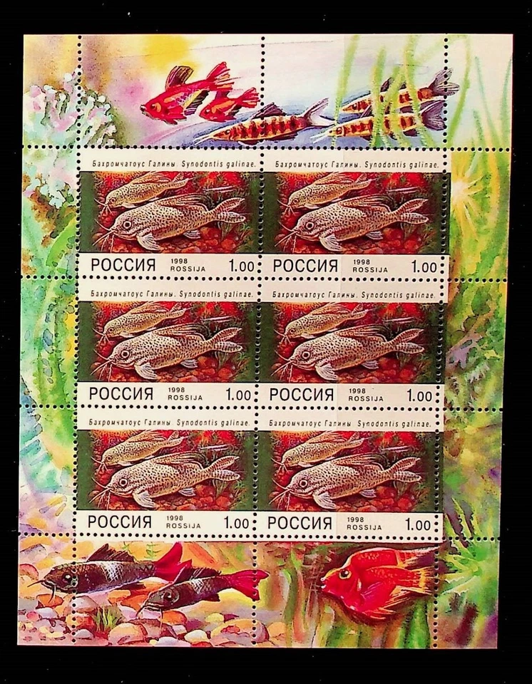 RUSIA Sc 6443a NH MINISHOJA DE 1998 - PESCADO - Sc$25 Foto 1 de 1
