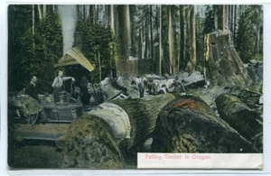 Fällung Holz Holzfäller Eselmaschine Oregon 1909 Postkarte - Bild 1 von 1