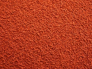 100ml Neon Granulat Fischfutter für Neons Sammler alle Zierfische Aquarium - Bild 1 von 1