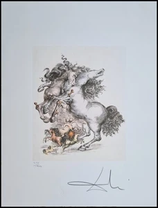 SALVADOR DALI * Horses * 65 x 50 cm * signed lithograph * limited - Picture 1 of 9