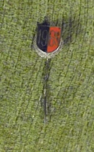 Anstecknadel , 1965 , silberfarbig , 5 cm x 1,5 cm , Rettenmaier Schw. Gmünd - Picture 1 of 2