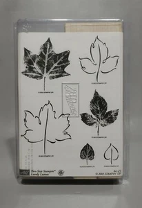 Timbri in gomma Stampin Up' Lovely Leaves 2003 set di 6 ritirati - Foto 1 di 2