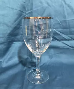Vintage Schott-Zwiesel Meran Platinum Rimmed Goblet - Picture 1 of 4