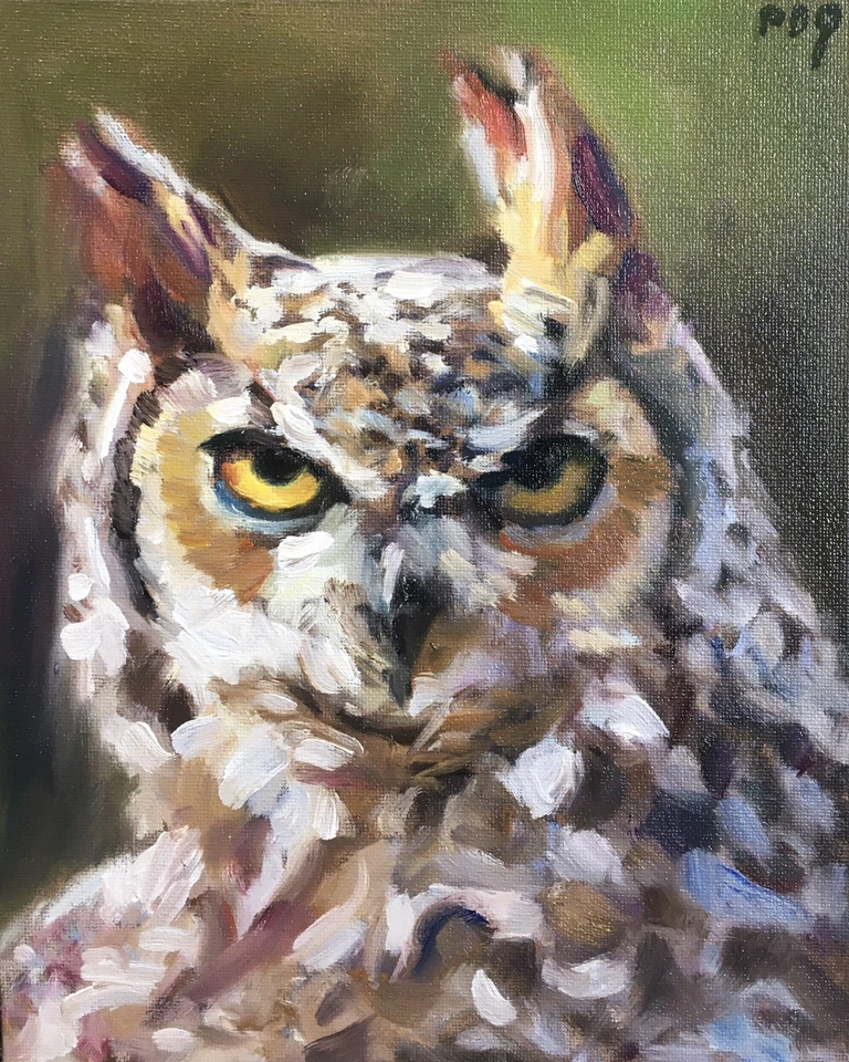 PDQ Artista Original Pintura al Óleo Vida Silvestre Pájaro Búho Impresionismo Realismo Obra de Arte Foto 1 de 1