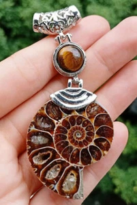 Tiger eye AMMONITE FOSSIL Pendant Chakra Reiki Healing Amulet Energy