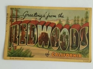Greetings From The Redwoods California postcard Posted & Stamped National Park - Picture 1 of 5