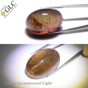 💎GLC CERTIFIED Jumbo! 93.06ct Oval Natural Pink Cat's Eye Tourmaline - Unheated - Picture 1 of 10