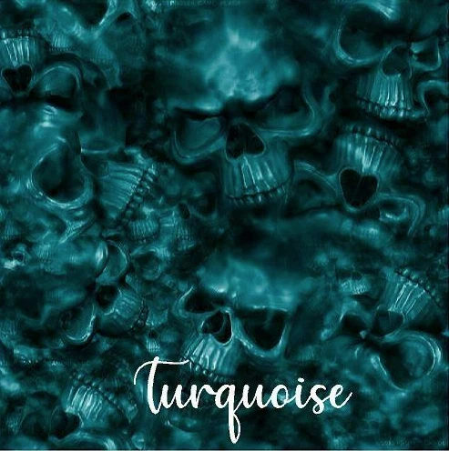 Reaper черепа бирюзовый винил надежном воздуха выпуск матовый ламинированный 12 «x 12»  - Изображение 1 из 1